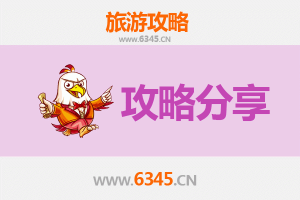 台东旅游选择指南：跟团与自由行全方位对比