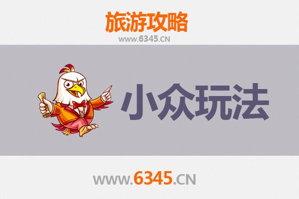 台东小众玩法指南：探索东海岸的隐秘角落与深度体验